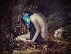 sciimbareainterioara